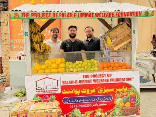 Social Business Project